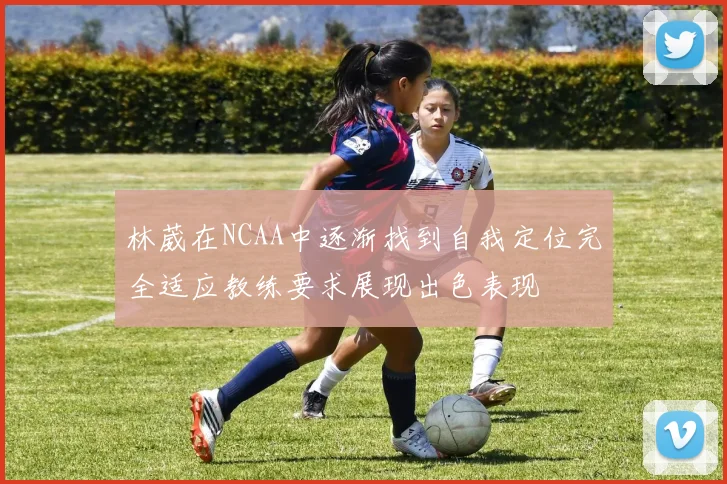 林葳在NCAA中逐渐找到自我定位完全适应教练要求展现出色表现