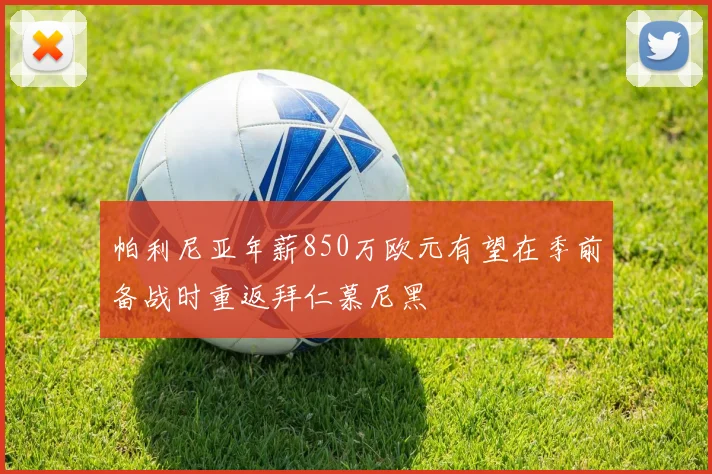 帕利尼亚年薪850万欧元有望在季前备战时重返拜仁慕尼黑