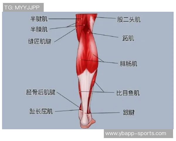 阿拉巴因右小腿比目鱼肌超负荷伤情将缺席比赛7到10天